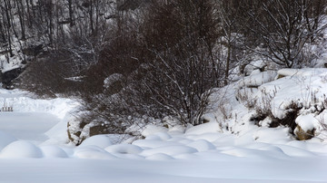 雪景