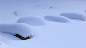 雪景