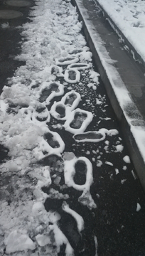 雪中脚印 雪中行 大雪 冬雪