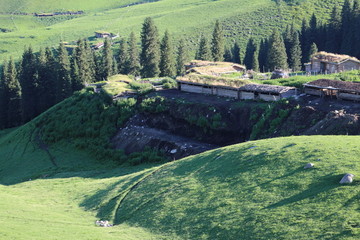 绿色山村