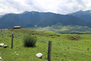 牧区山坡木屋