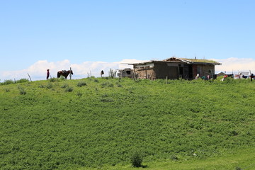 牧区山坡木屋