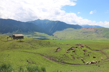 牧区山坡木屋