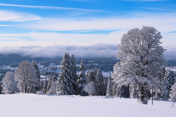 雪景