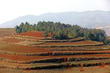 东川红土地