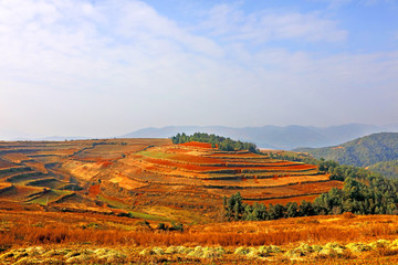 东川红土地