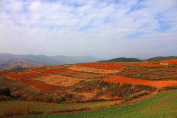 东川红土地