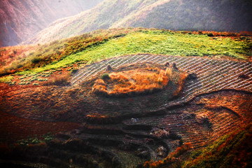 东川红土地