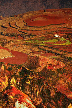 东川红土地