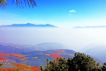 东川红土地