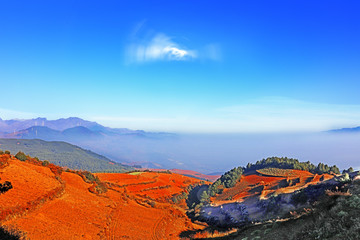 东川红土地