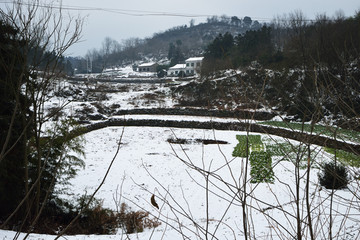 南方雪景 雪景