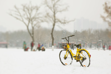 小黄车雪景