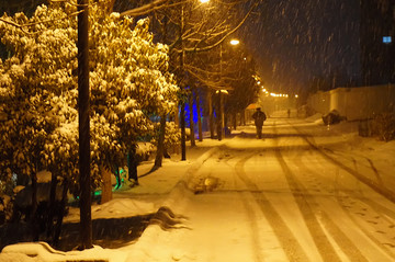 风雪夜归人