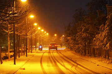 风雪夜归