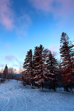 雪乡 雪乡风景 中国雪乡 雪景