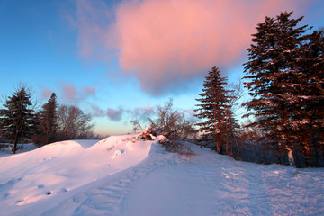 雪乡 雪乡风景 中国雪乡 雪