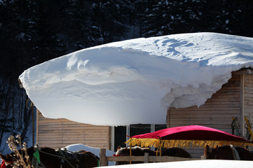 雪乡 雪乡风景