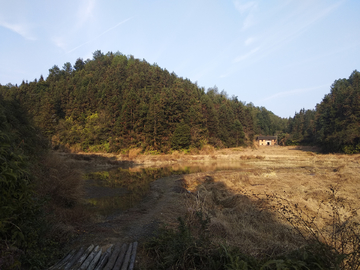 乡村风景