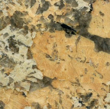 黄牡丹石材花岗岩板材背景