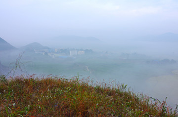 风景 雾色田野