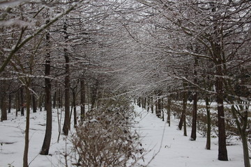 冰雪世界美如童话 （14）