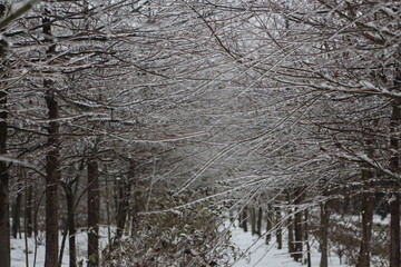 冰雪世界美如童话 （15）