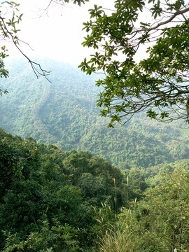 羊台山