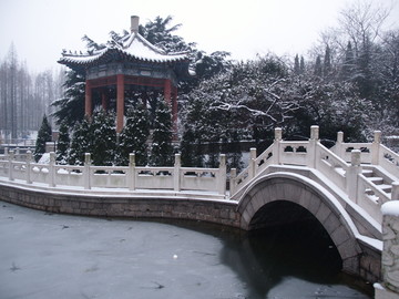 雪后的青岛湛山寺