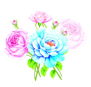 藍(lán)紅花卉