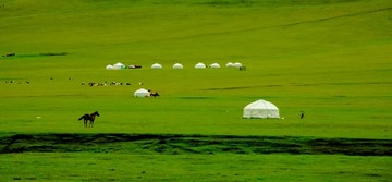 草原蒙古包和马