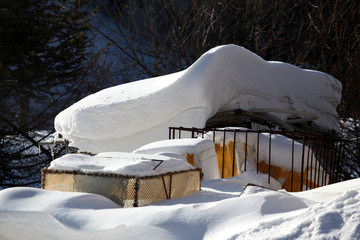 雪乡