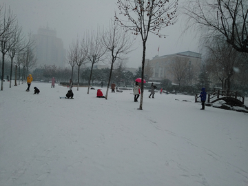 雪景