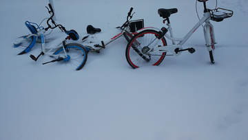 雪地上的共享单车