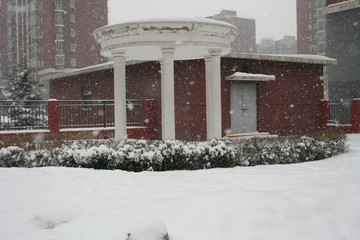鵝毛大雪