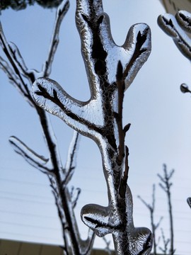 雪后初晴美如画 （29）