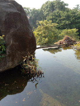 鸿山公园