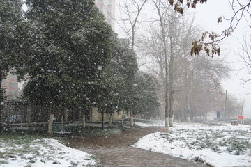 鹅毛大雪