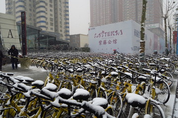 共享单车披雪衣