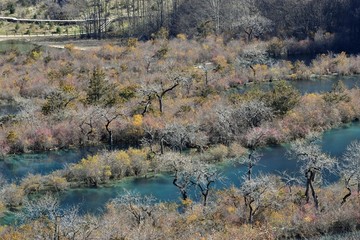 九寨沟