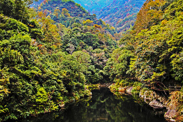 醉山野秋韵1