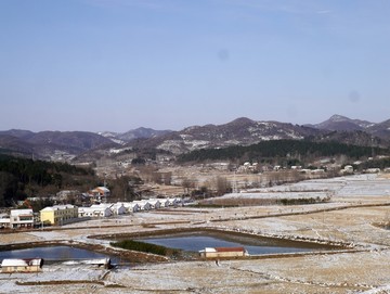 下雪的农田