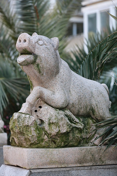 十二生肖猪石雕像