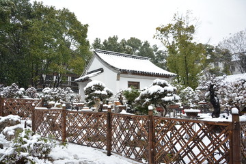 盆景园雪景