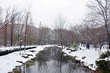 小溪雪景