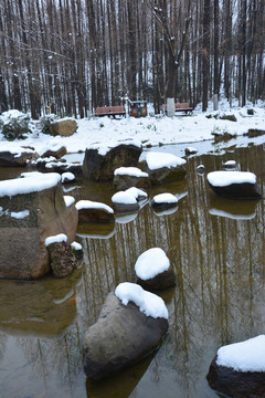 溪水石头雪景