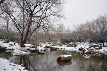 小溪雪景