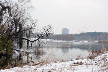 湖水雪景