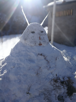瑞雪兆丰年 农村的雪人 雪人