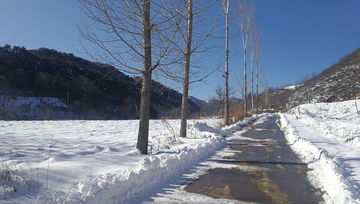 雪中的乡村公路 乡村公路